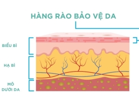 Vì sao da ngày càng dễ kích ứng với mỹ phẩm?